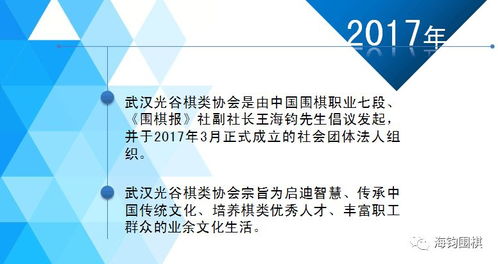 以圍棋的名義服務(wù)于國(guó)家級(jí)自貿(mào)區(qū) 王海鈞七段與武漢光谷棋類(lèi)協(xié)會(huì)的2017項(xiàng)目策劃與公關(guān)服務(wù)